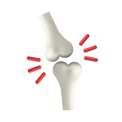 Bone and Joint